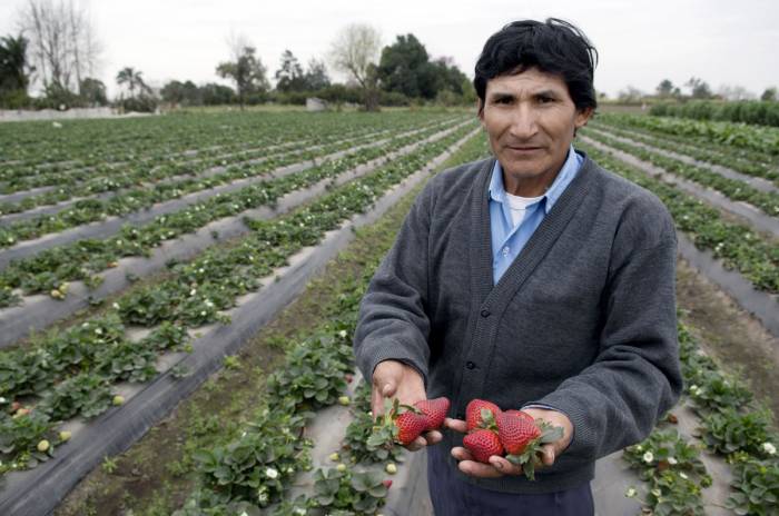 Argentina tiene una Ley de Agricultura Familiar